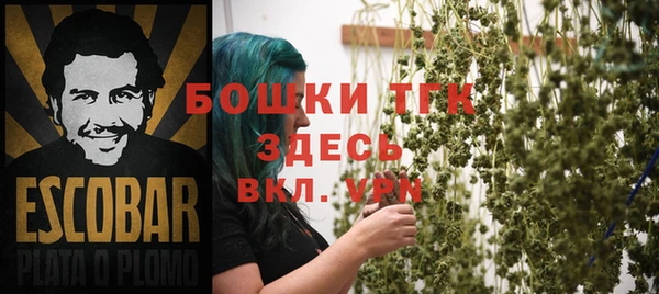 таблы Белокуриха