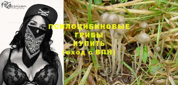 соль ск Белоозёрский